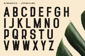 Rosewood font