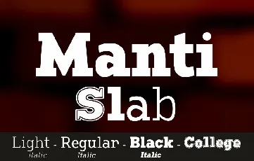 Manti Slab Family font