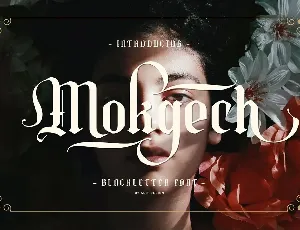 Mokgech font