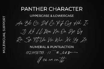 Panther Typeface font