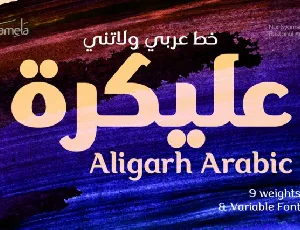 Aligarh Arabic Family font