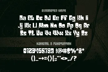 ASHOKA font