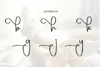 Breakday Script font