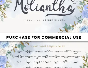 Moliantha - Personal Use font