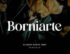 Borniarte font