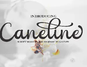 Caneline font