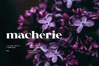 MachÃ©rie font