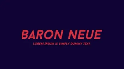 Baron Neue Typefamily font