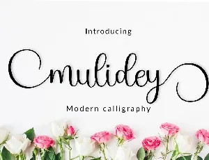 Mulidey font