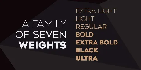 Geometos Neue Family font