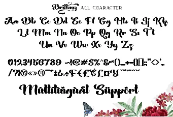 Brithny font