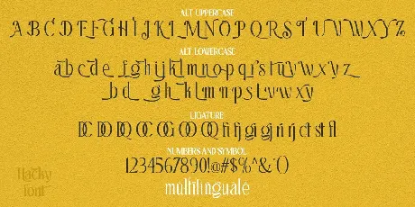 Hacky Demo font