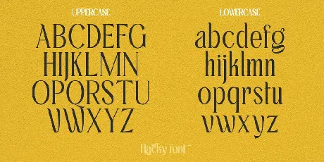 Hacky Demo font