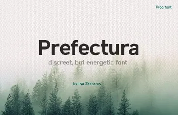 Prefectura Sans Serif font