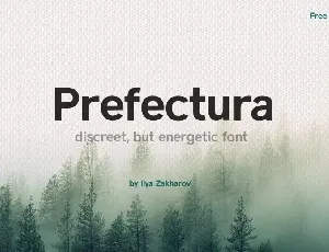 Prefectura Sans Serif font