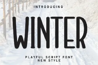 Winter Display font