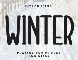 Winter Display font