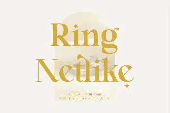 Ring Netlike font