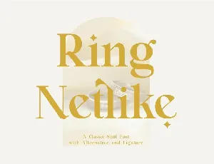 Ring Netlike font