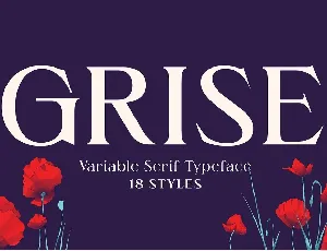 Grise font