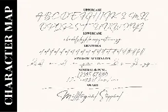 Patricia Signature font