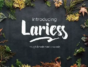 Lariess font