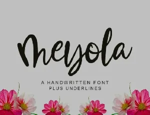 Meyola Brush font