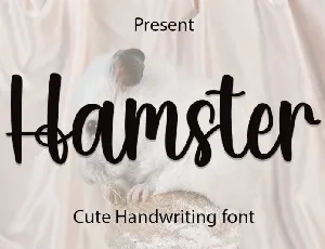 Hamster font