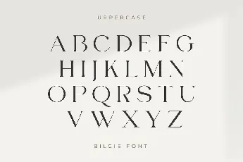 Bilgie font