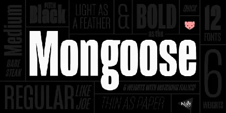 Mongoose Family font