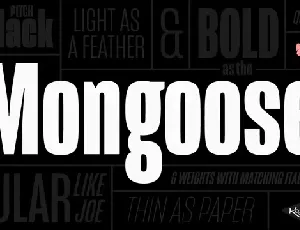 Mongoose Family font