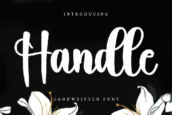 Handle font