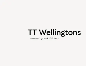 TT Wellingtons Family font