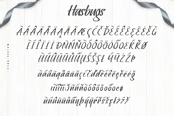 Hasbugs Demo font