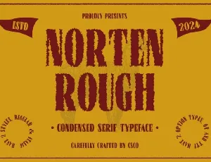 Norten Rough font