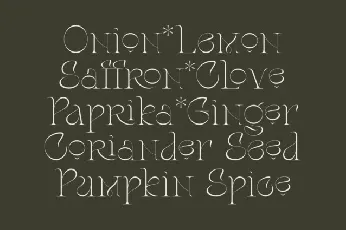 Stager font