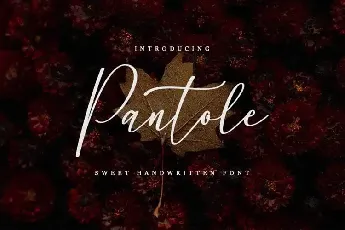 Pantole Script font