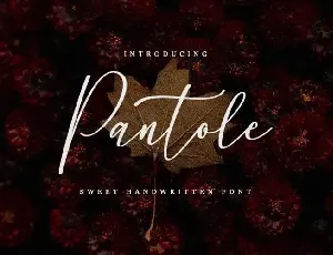 Pantole Script font