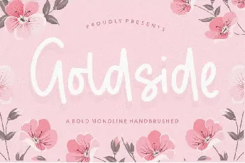 Goldside Bold Monoline Handbrushed font