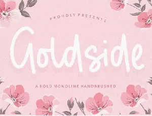 Goldside Bold Monoline Handbrushed font