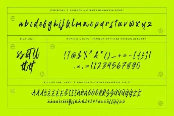 Brandon Matthews font