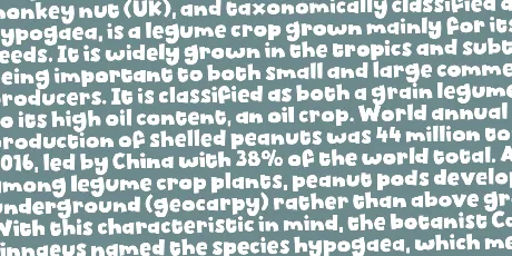 Biscuit Kids DEMO font