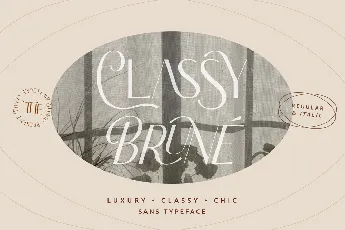 Classy Brune font