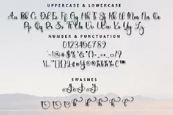 Straight Typeface font