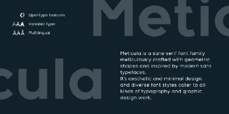 Meticula Family font