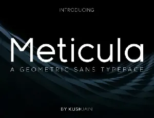 Meticula Family font