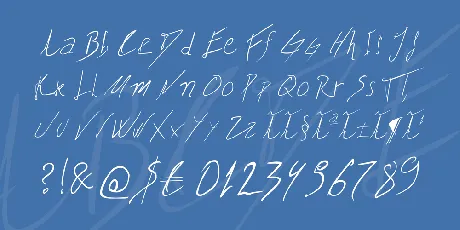 Biffe's Calligraphy font