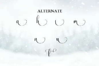 Winter Script font