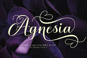 Agnesia font