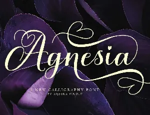 Agnesia font